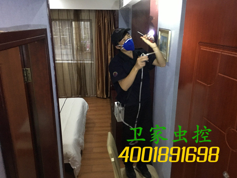 为什么别墅发生蚁害的概率较大？