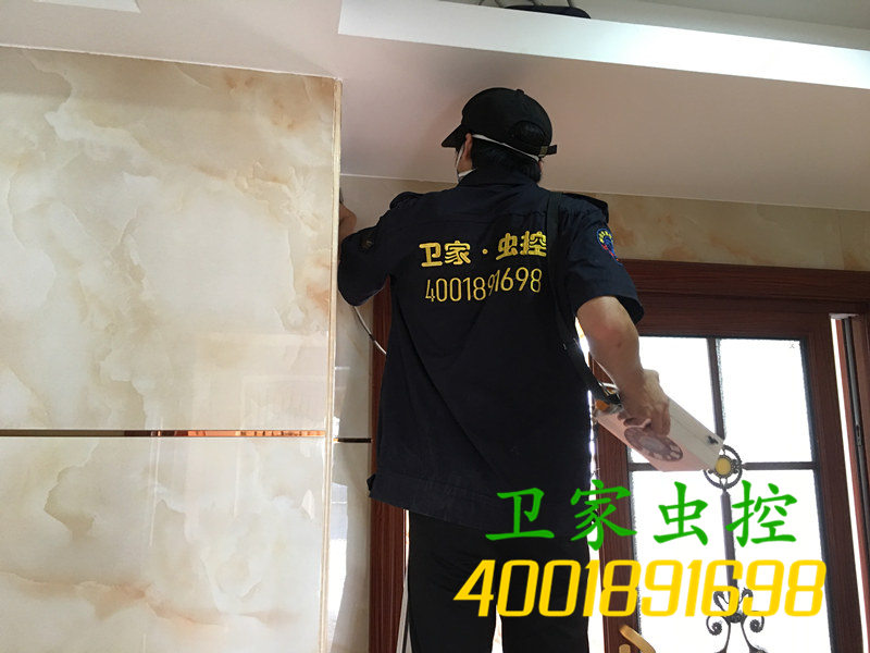 肇庆高要区白蚁防治所:新建房屋白蚁预防