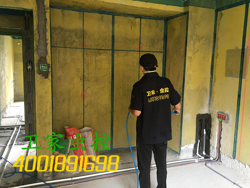 韶关武江区白蚁防治所:韶关买二手房白蚁检查的必要性